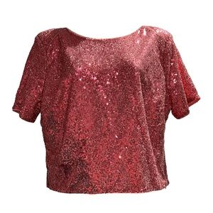 Clearance Sale 🎁 NWT Woman’s Lush Sequin Short Sleeve Crop Top In Fuchsia